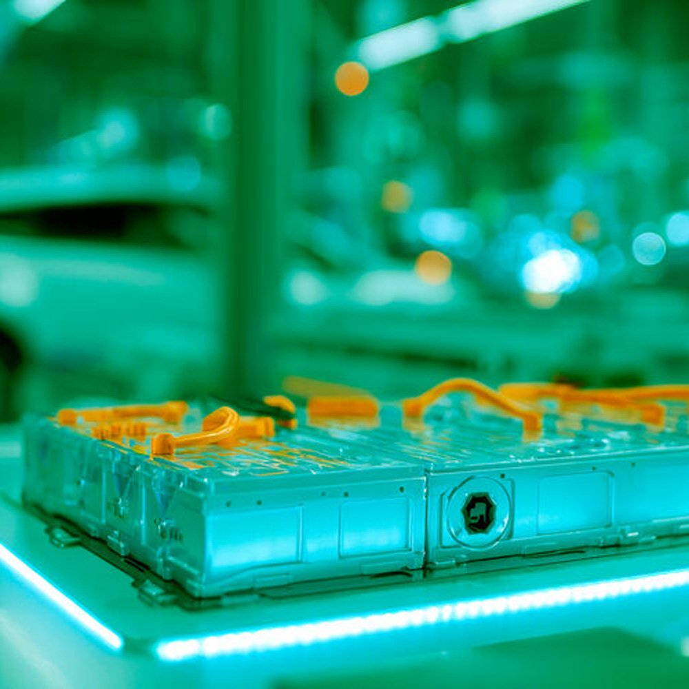 AdobeStock_1789503353_mauri_preview