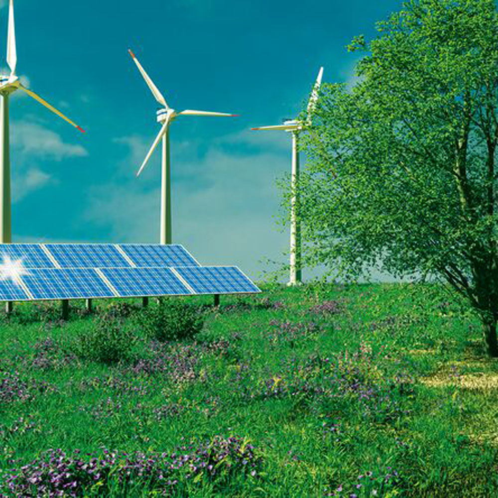 AdobeStock_496784045_PhotoGranary_preview